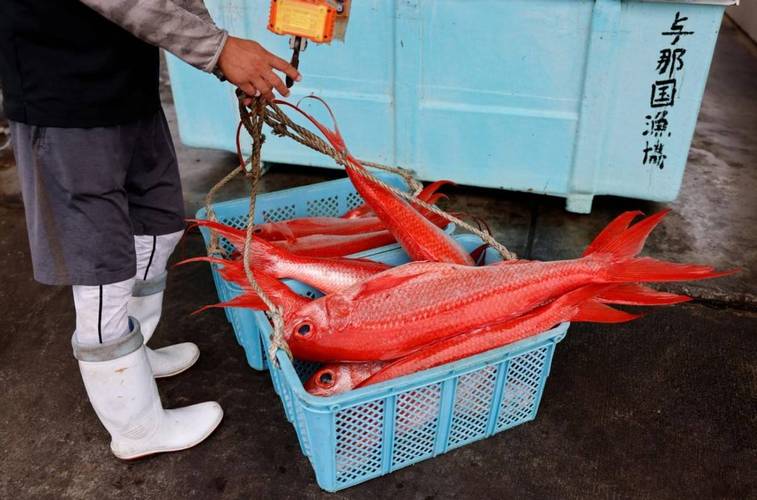 日本水产品解禁传闻背后的信息博弈 谁在避重就轻？