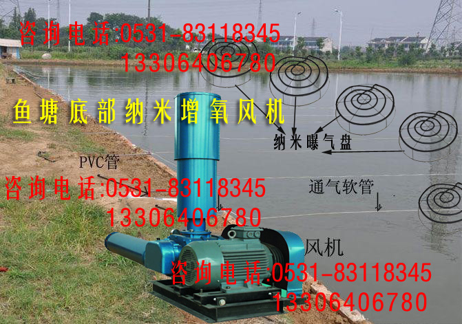 大连虾蟹海参养殖增氧机与罗茨风机 水产品高效养殖的机械选型指南
